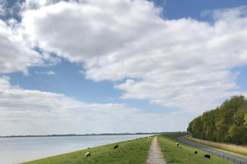Wilhelms Havenkoje - Gemuetliches Innenstadtappartment Wilhelmshaven Buitenkant foto